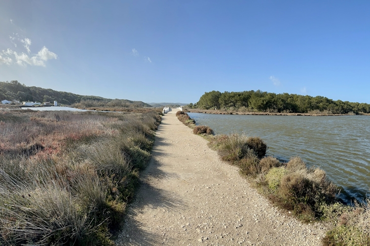 Camí de Cavalls por S'Albufera