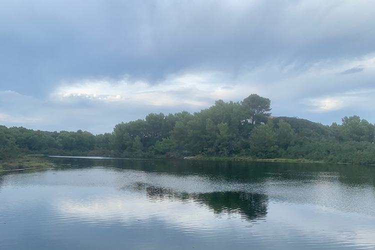 Tranquilidad en la Reserva Natural
