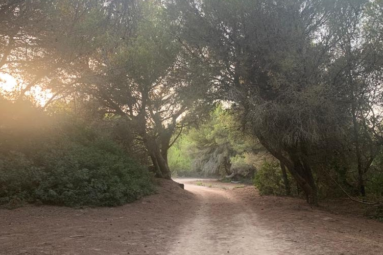 Paseando por Camí de Cavalls al atardecer