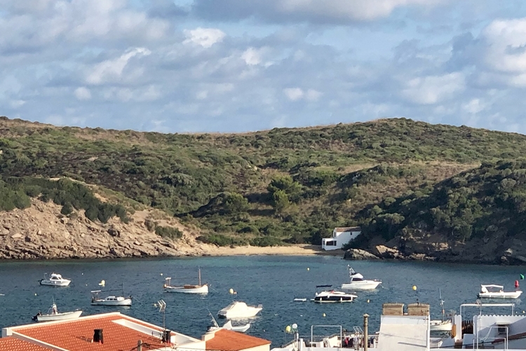 Vista cala en Vidrier desde Es Grau