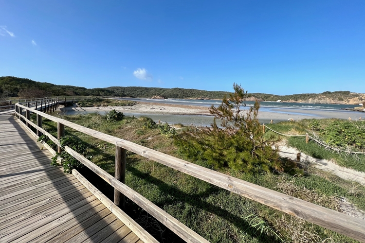 Camino de la Playa
